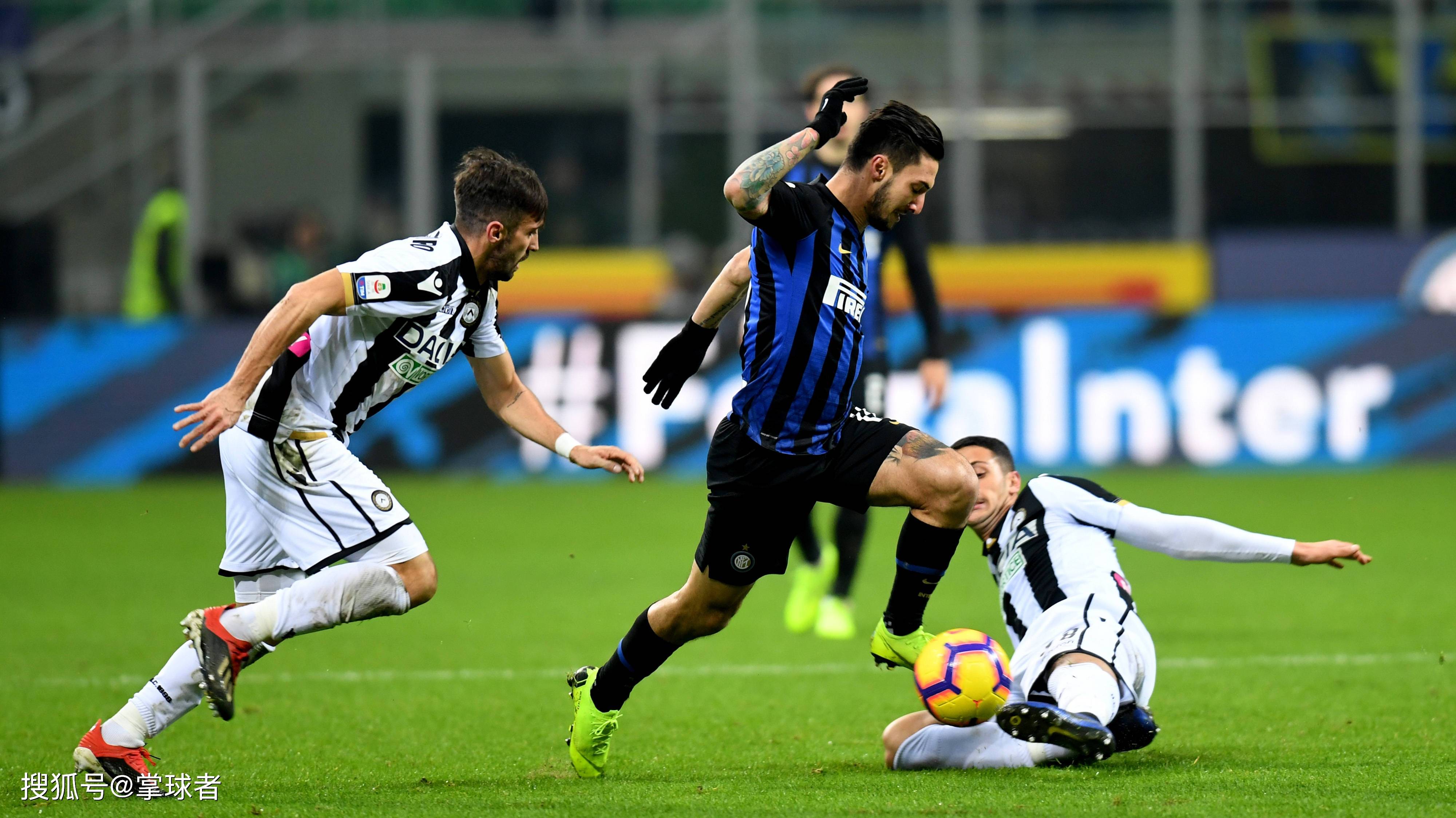 张镇麟：新赛季加盟上海从点滴做起，希望和弗格为球队做贡献（张镇麟：新赛季加盟上海，脚踏实地起步，盼与弗格携手助力球队）